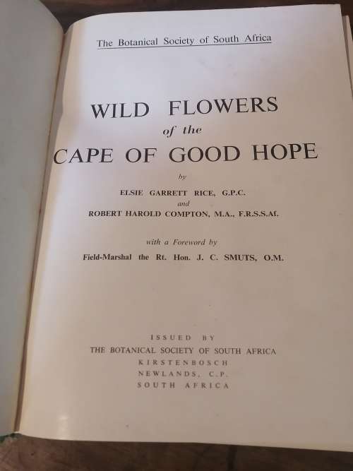 WILD FLOWERS OF THE CAPE OF GOOD HOPE - Elsie Garrett Rice and Robert Harold Compton