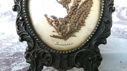 Vintage Botanical Pewter Picture Frame