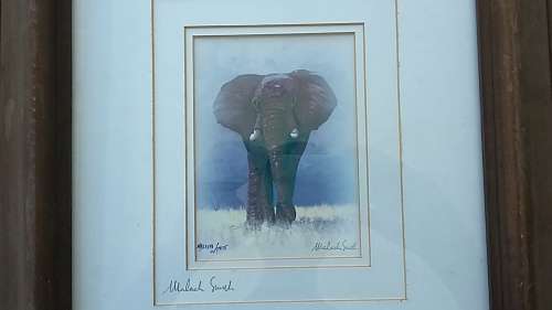 Malachi Smith (NOT LIMITED EDITION) Framed Print of Elephant with ORIGINAL Pencil Signature