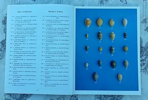 Cowries of Mauritius by Boizot, Desjardins and Chakowa