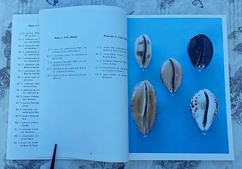 Cowries of Mauritius by Boizot, Desjardins and Chakowa