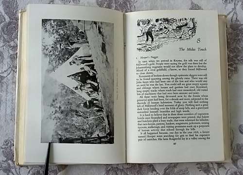 Timber and Tides - The Story of Knysna and Plettenberg Bay by Winifred Tapson
