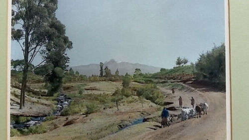TWO ORIGINAL Hand-coloured Arthur Firman Photographs of Kenya Circa. 1950s