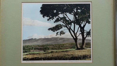 TWO ORIGINAL Hand-coloured Arthur Firman Photographs of Kenya Circa. 1950s
