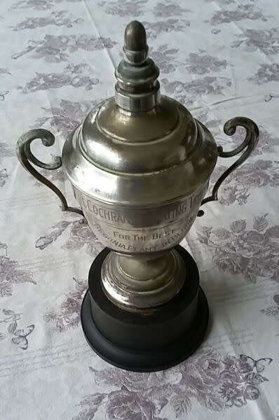 Large (40cm in height) 1950s Trophy for the Best Begonia in Bloom