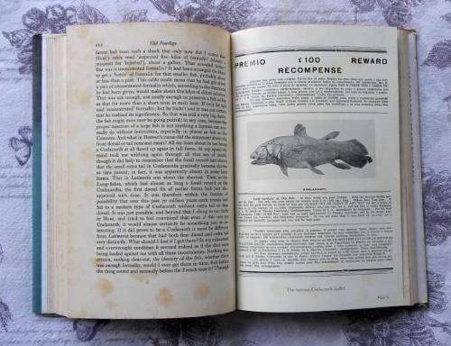 ***SIGNED*** Old Fourlegs - The Story of the Coelocanth by J.L.B. Smith
