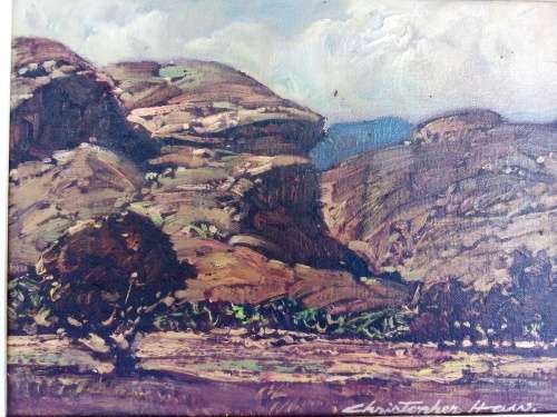Original Chris Haw Oil on Board - Golden Gate, Clarens