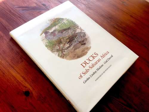 *LIMITED EDITION* Ducks of Sub-Saharan Africa   by Gordon Lindsay Maclean and Gail Darroll