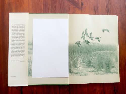 *LIMITED EDITION* Ducks of Sub-Saharan Africa   by Gordon Lindsay Maclean and Gail Darroll