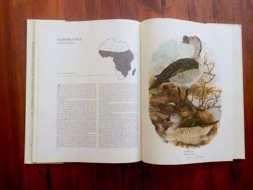*LIMITED EDITION* Ducks of Sub-Saharan Africa   by Gordon Lindsay Maclean and Gail Darroll