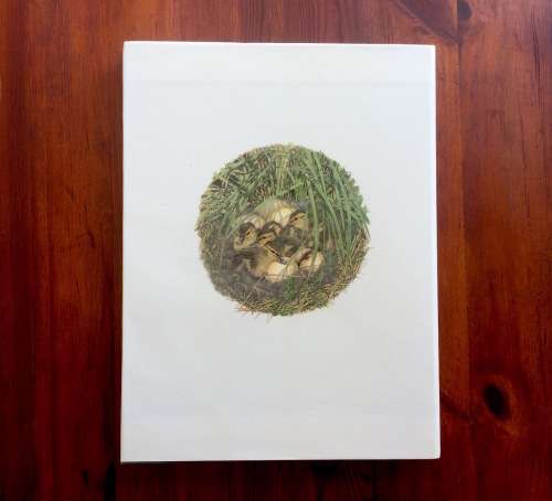 *LIMITED EDITION* Ducks of Sub-Saharan Africa   by Gordon Lindsay Maclean and Gail Darroll