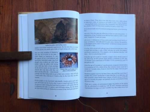 The Boerboel - South Africa's Own by Anemari Pretorius