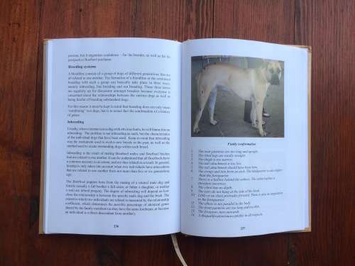The Boerboel - South Africa's Own by Anemari Pretorius