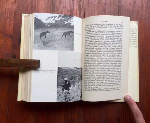 PONDORO - Last of the Ivory Hunters by John Taylor (Hunting - Safari)