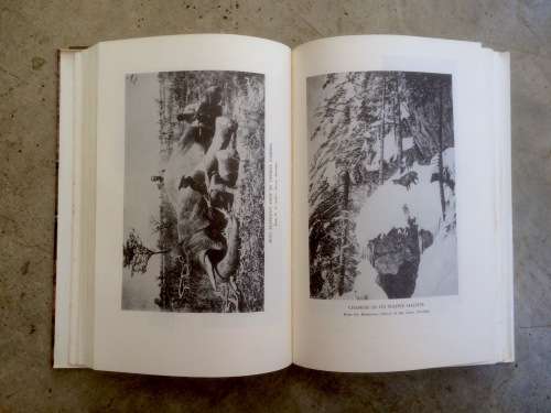 The Rifle - It's Development for Big-Game Hunting by S.R. Truesdell (Hunting)