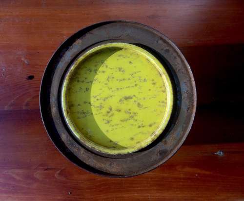 Coleman's Hot English Mustard Powder Tin 2kg