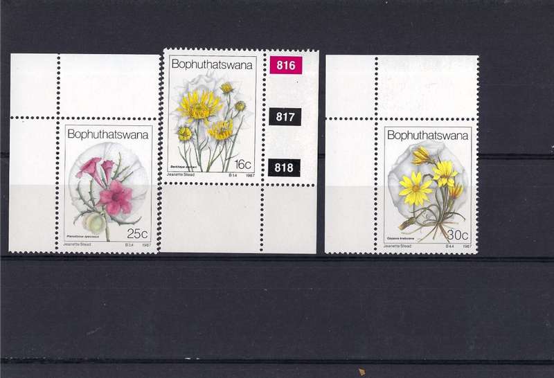 Bophuthatswana - 1987 Wild Flowers Full Set (MNH) and CTO Mini Sheet