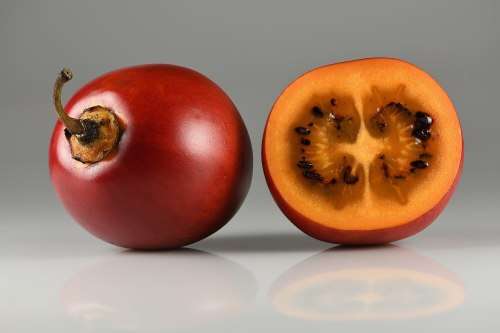 TOMATO TREE /TAMARILLO CYPHOMANDRA BETACEA  x 15 seeds