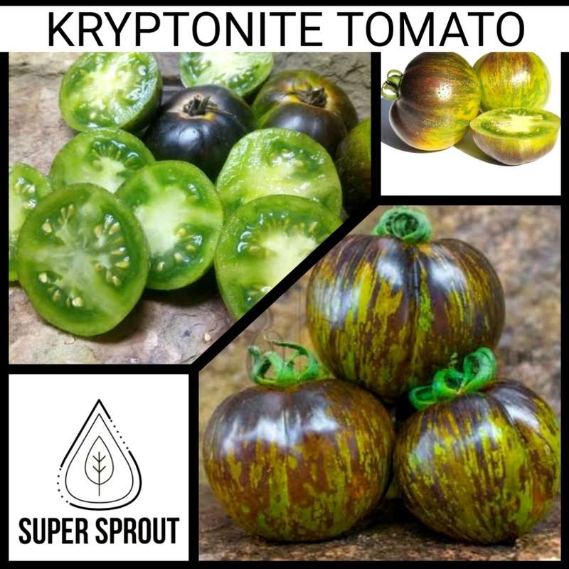 KRYPTONITE TOMATOES x 15 seeds