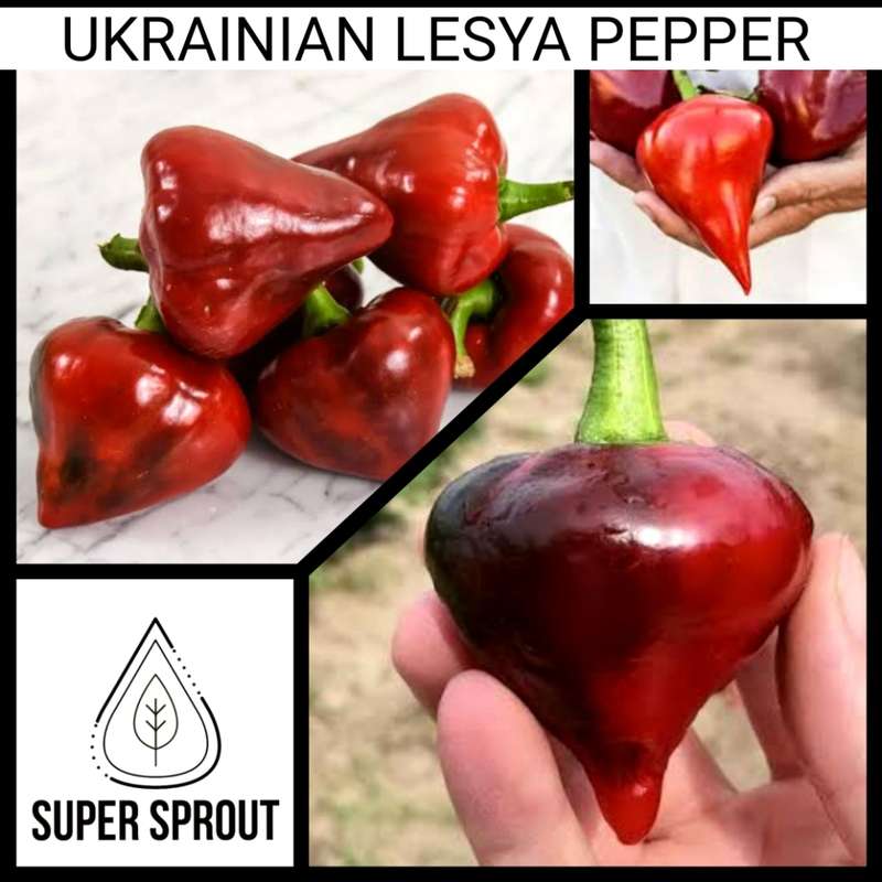 Sweet Pepper Collection Pack x 7 individual packs