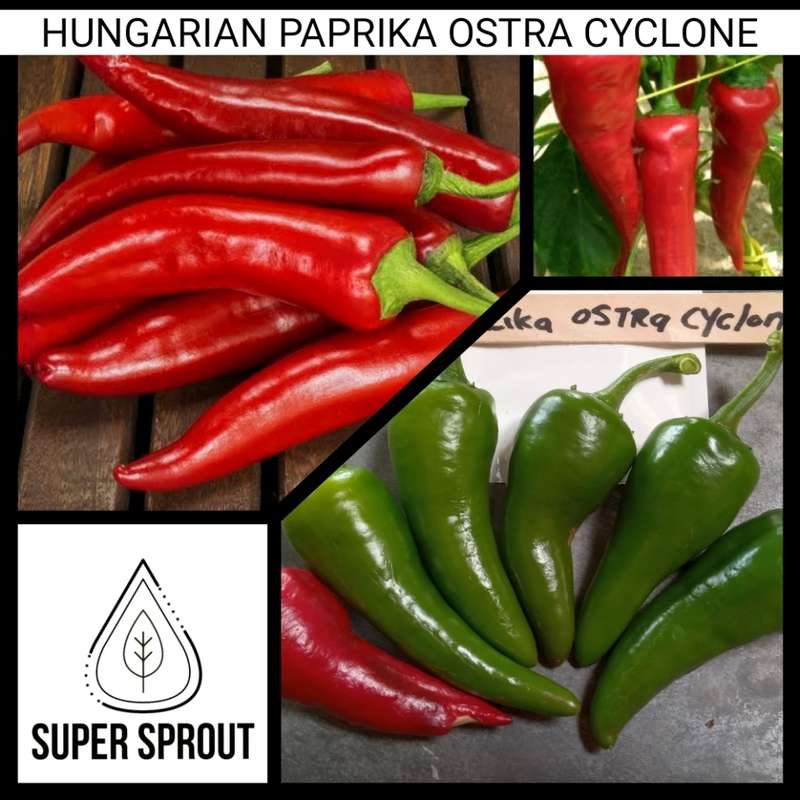 Sweet Pepper Collection Pack x 7 individual packs