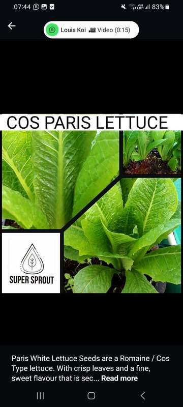 Exotic Salad Collection Pack x 9 individual packs