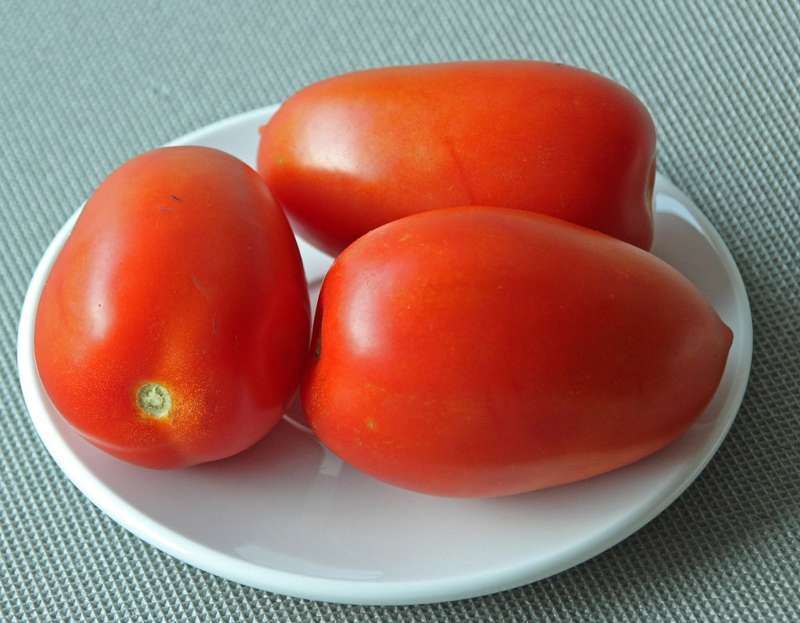 Italian Roma plum tomato x 10 seeds