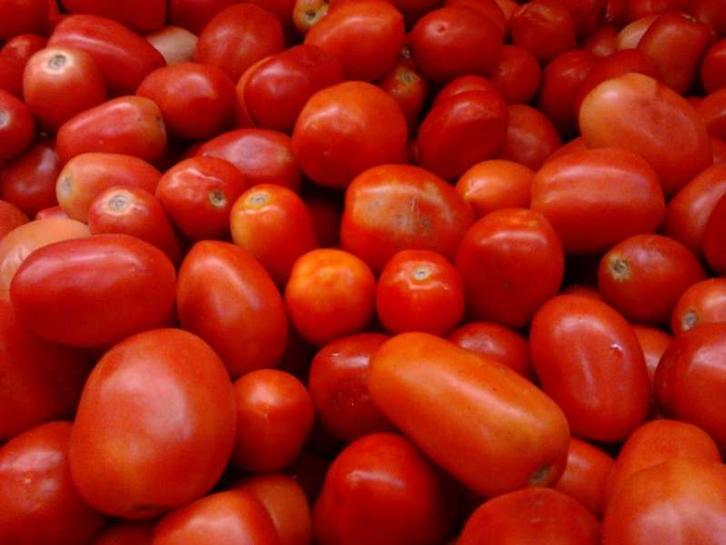 Italian Roma plum tomato x 10 seeds