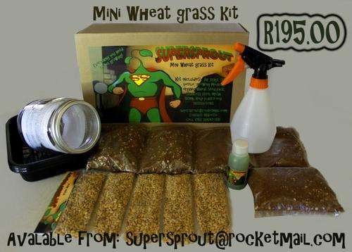 Mini Wheat grass kits