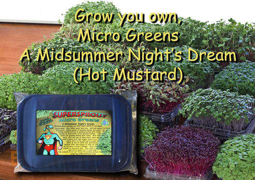 Micro Green tray (A Midsummer nights dream) HOT! Mustard Cress (GMO free, 100% Organic).