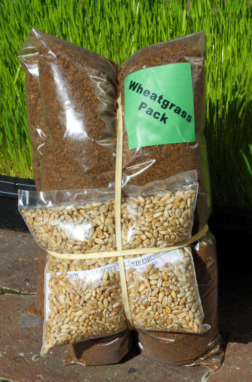 Wheatgrass packs with instructions