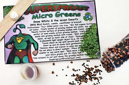 Micro Green tray (Snow white) Mild mix (Radish, Broccoli & Canola) Organic.