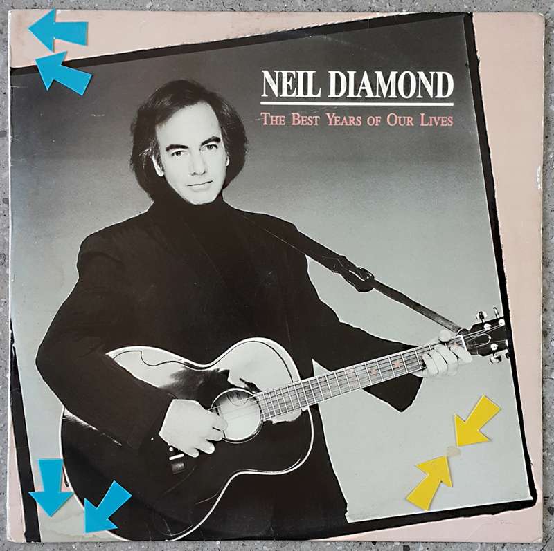 NEIL DIAMOND - THE BEST YEARS OF OUR LIVES inyl, LP, Album Country: South Africa Released: 1988