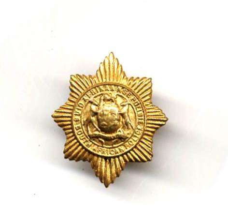 SOUTH AFRICAN POLICE BADGE * 30mm