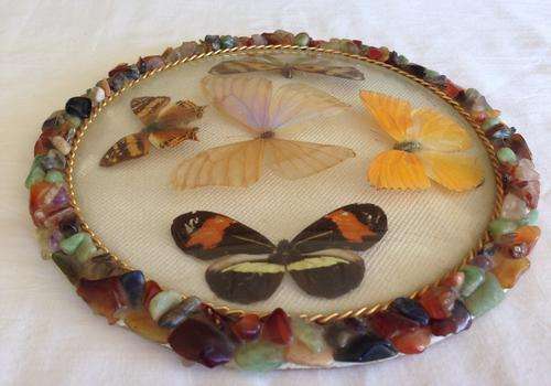 RARE VINTAGE SOUTH AFRICAN BUTTERFLY WALL PLAQUE