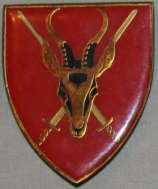 SADF SA Army HQ shoulder flash - pins in tact