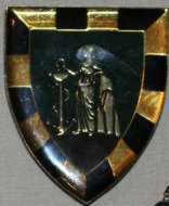 SADF SA Cape corps infantry flash ¿ pins in tact