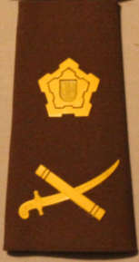 SADF Nutria Major General Shoulder rank