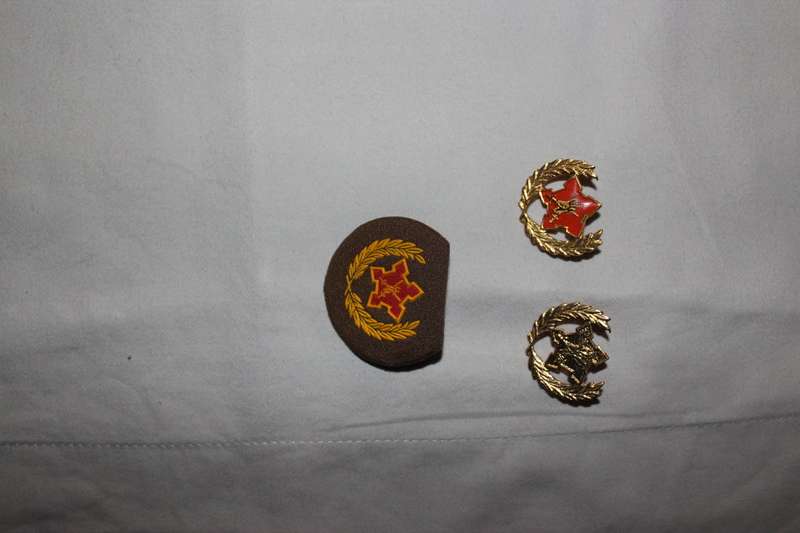 Volenteers badge lot - Good condition