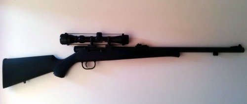 TRADITIONS .50 RIFLE  (Black Powder)