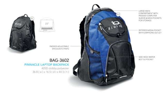 Pinnacle Laptop Backpack - Buy Now Pay Later