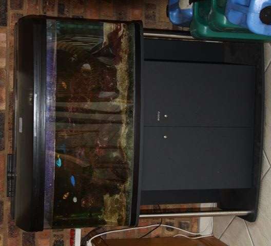 200L Marine Aquarium with fish & lots of live rock