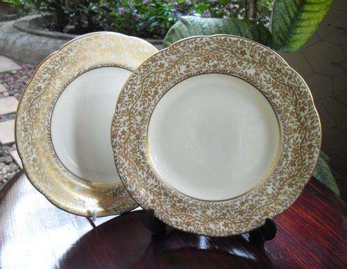 BEAUTIFUL PARAGON CIRCA 1900 FINE BONE CHINA PLATES
