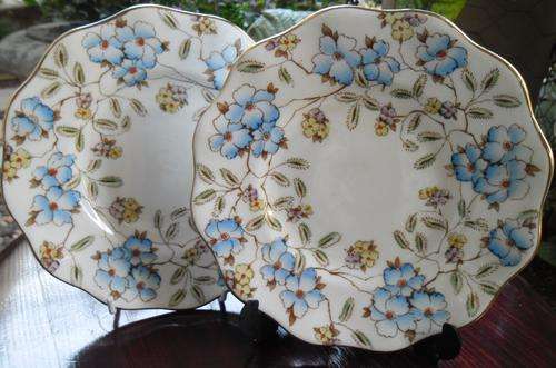 BEAUTIFUL VERY VINTAGE FOLEY PLATES