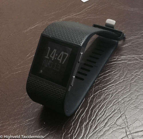 XL Fitbit Surge- mint condition