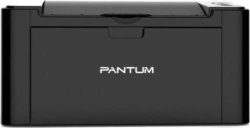 Panum  P2207 Series Black Printer