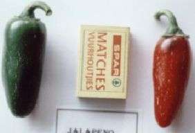 CHILI SEED- JALAPINO