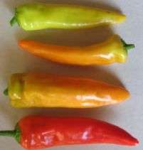 CHILI SEED -HUNGARIAN YELLOW WAX