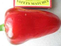 CHILI SEED - SUPER SHEPHERD