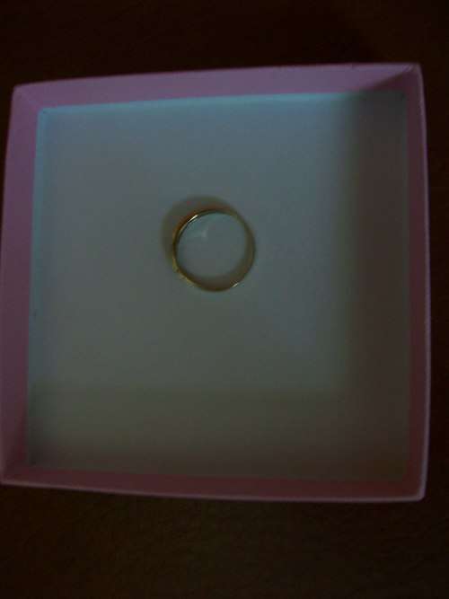 Anniversary Ring in 9ct Yellow Gold Fitted with 8 White Diamonds (+- 0.01ct each) Size M